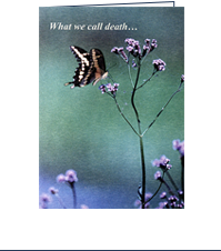 Image of Comfort Card:  Butterfly front of the card with text 