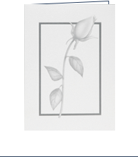 Image of front of Comfort Card: Rose with a drawing of a rose bud on a white background