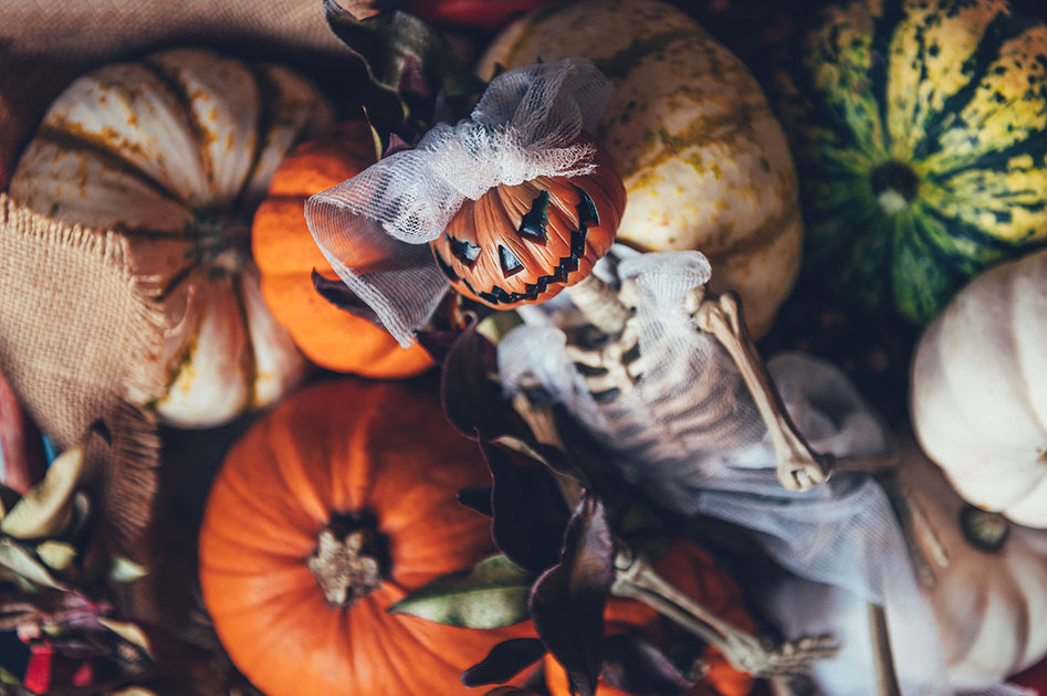 October Observations | InSight Books