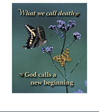 Image of a butterfly lapel pin on a card with a picture of a butterfly on a flower and the text What we call death, God calls a new beginning.