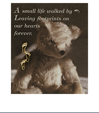 Image of a footprints lapel pin on a card with a picture of a teddy bear and the text: A small life walked by leaving footprints on our hearts forever.